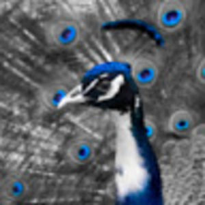 Meet your Posher, Billy -